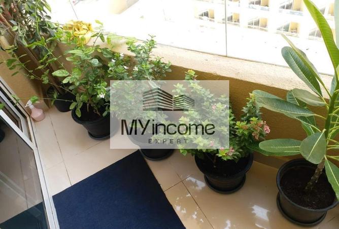 16123972 - Property Image 3