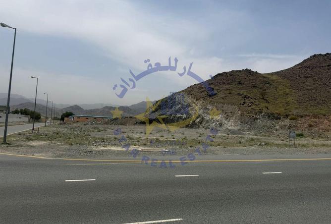 127006318 - Property Image 3