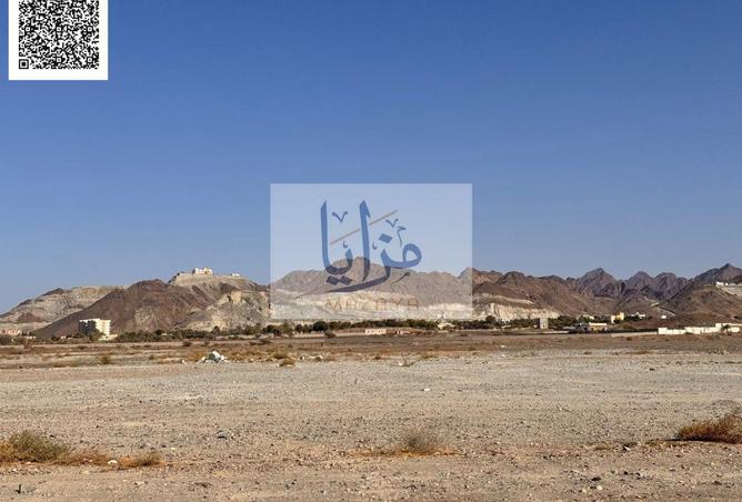 16040249 - Property Image 2