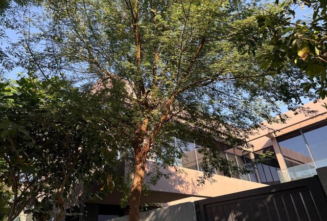 64030923 - الصورة الرئيسية للعقار