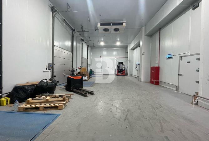 65557737 - الصورة الرئيسية للعقار