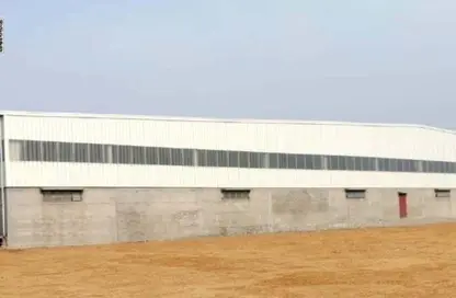 أرض - استوديو للبيع في أم الثعوب - أم القيوين