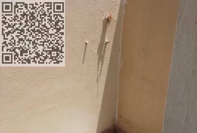 87456587 - صورة العقار 3