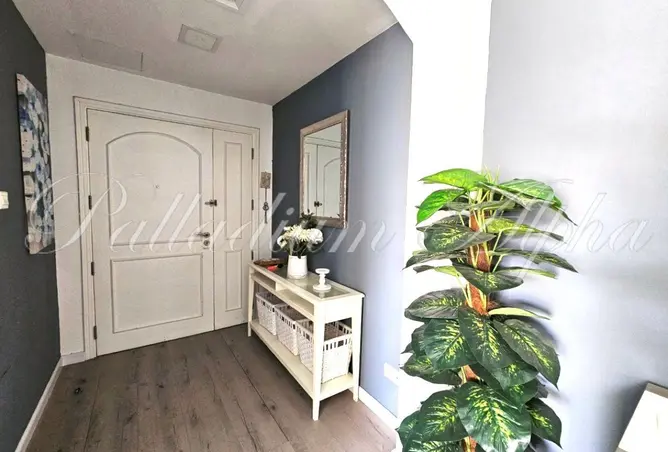 156894978 - Property Image 2