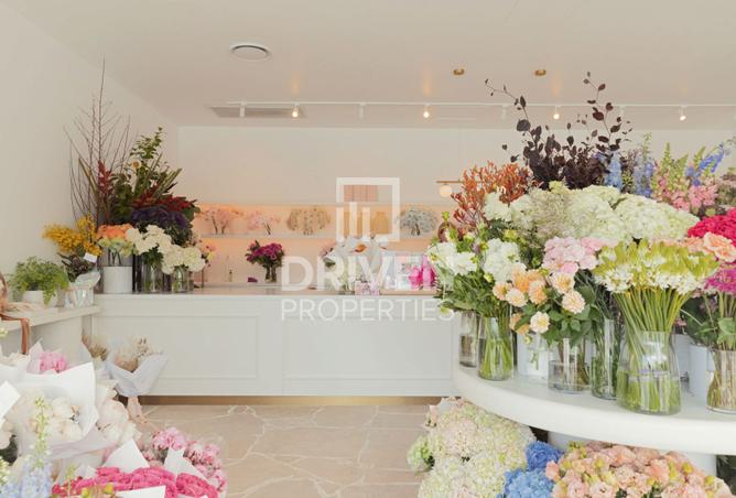 142387687 - Property Image 3
