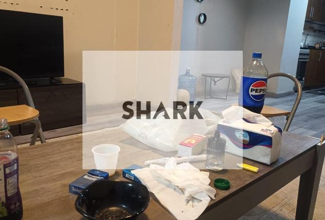 81521153 - صورة العقار 3