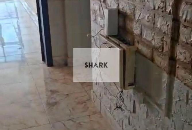 16133131 - Property Image 3