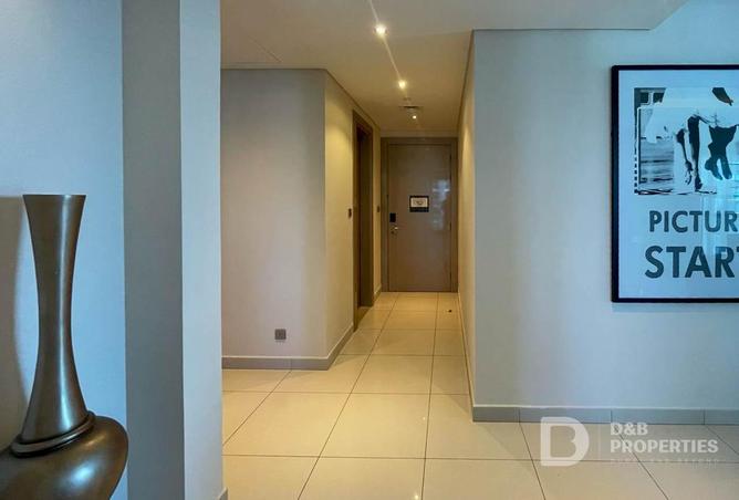 16230569 - Property Image 3