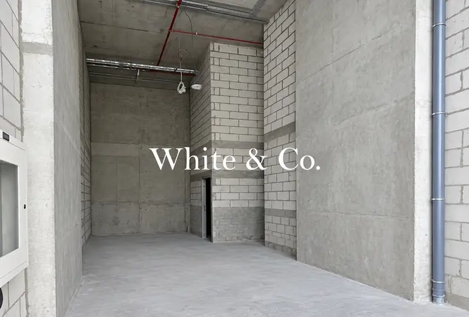 151348116 - Property Image 3