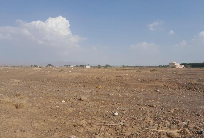 16306784 - صورة العقار 3