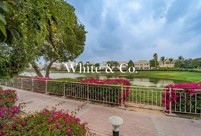 132491058 - Property Image 3