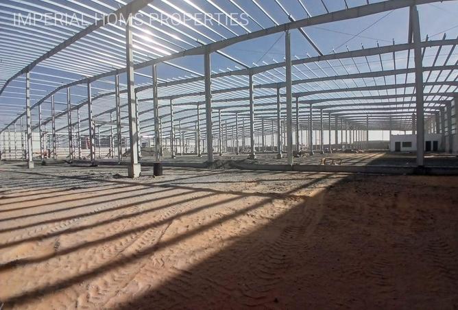 16295479 - Property Image 3