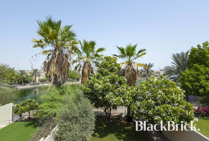 16143524 - صورة العقار 2