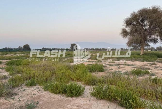 91359338 - Property Image 2