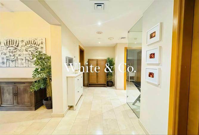 16190998 - Property Image 3