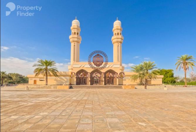 67820554 - Property Image 3