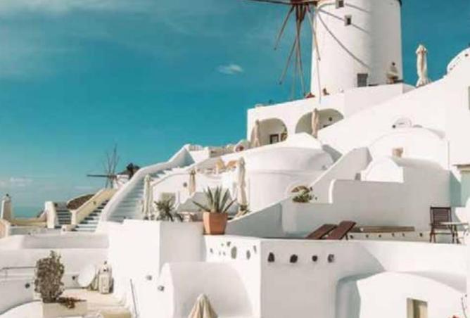 16279162 - Property Image 3