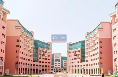 شقة - 1 حمام للايجار في زين - ديسكفري جاردنز - دبي