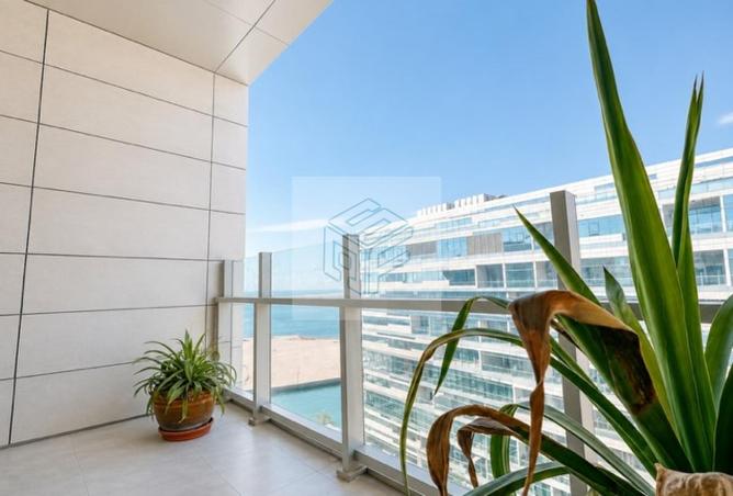 116377439 - Property Image 2