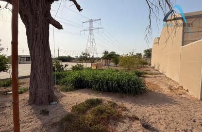 Farm - Studio for sale in Al Kharran - Ras Al Khaimah