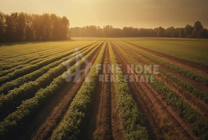 16143401 - صورة العقار 2