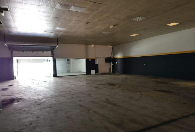 114176853 - Property Image 3