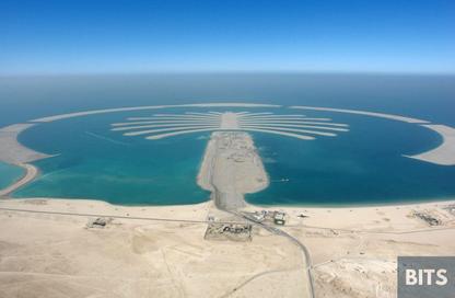 Land - Studio for sale in Palm Jebel Ali Frond O - Palm Jebel Ali - Dubai