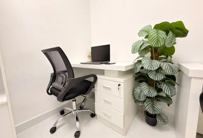 151914555 - Property Image 2