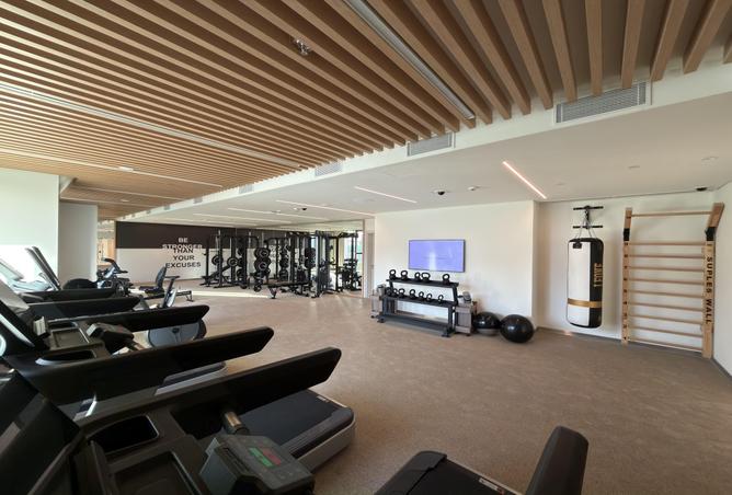 56549461 - Property Image 3