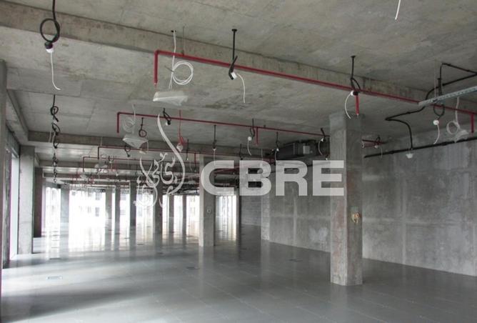 16119802 - Property Image 3