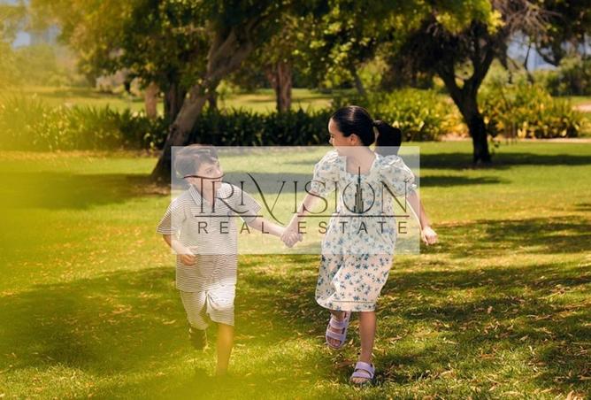 82818843 - Property Image 2