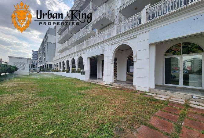 16190849 - Property Image 2