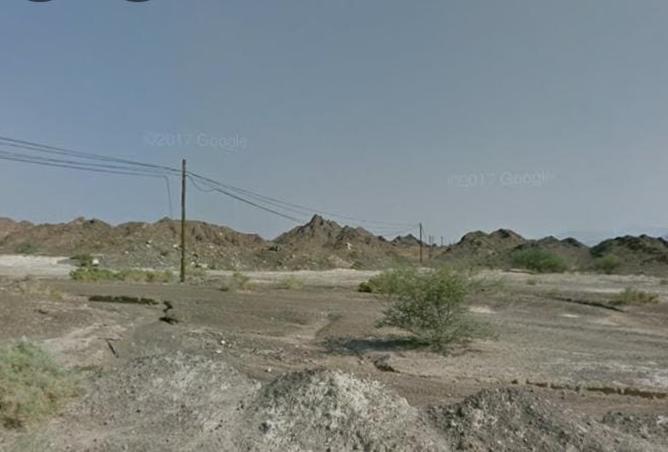 117698189 - Property Image 3