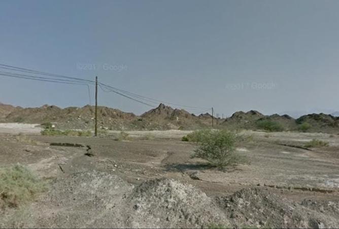 117698189 - Property Image 2