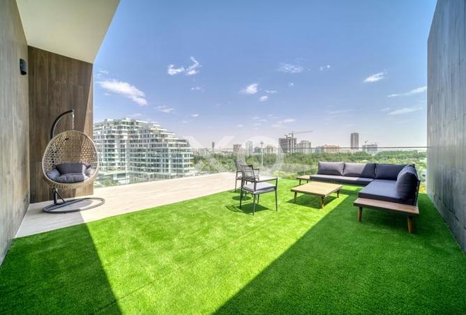 16159368 - Property Image 3