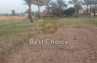 Land - Studio for sale in Al Helio 1 - Al Helio - Ajman