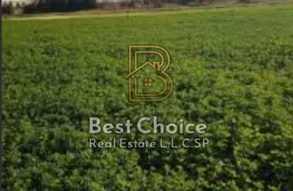 Land - Studio for sale in Al Helio 1 - Al Helio - Ajman