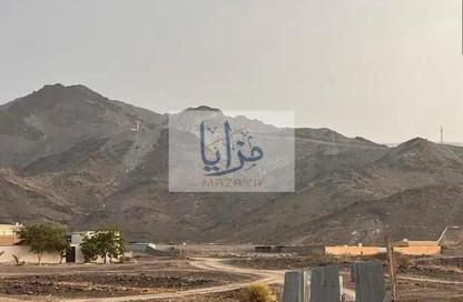 Farm - Studio for rent in Umm Al Quwain Marina Villas - Umm Al Quwain Marina - Umm Al Quwain