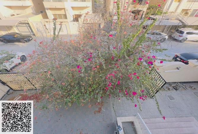 74237375 - Property Image 2