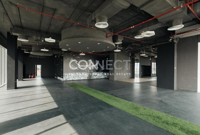 16202025 - Property Image 3