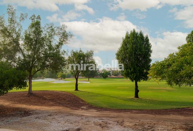 127017738 - Property Image 2