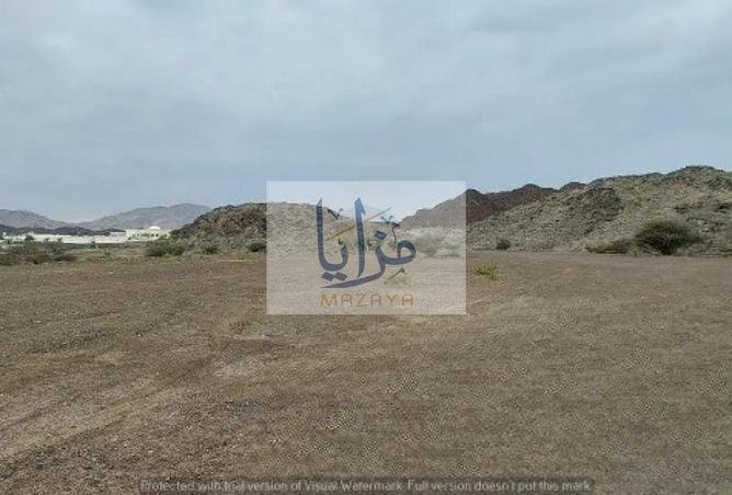 128812904 - Property Image 2