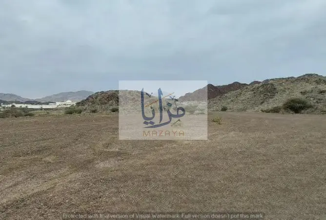 128812904 - صورة العقار 2