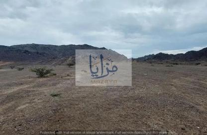 Farm - Studio for rent in Umm Dir - Umm Al Quwain