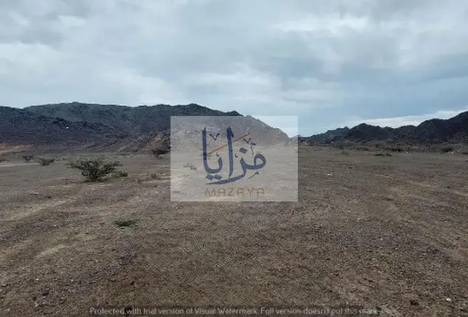 128812904 - صورة العقار 3