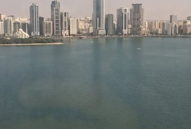 145513178 - صورة العقار 3