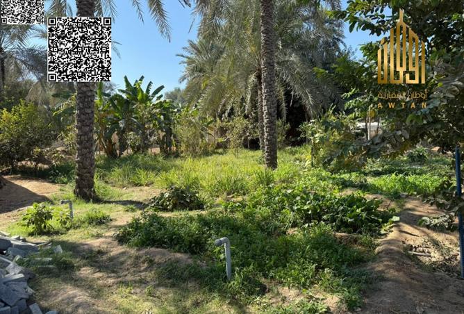 121545335 - صورة العقار 3