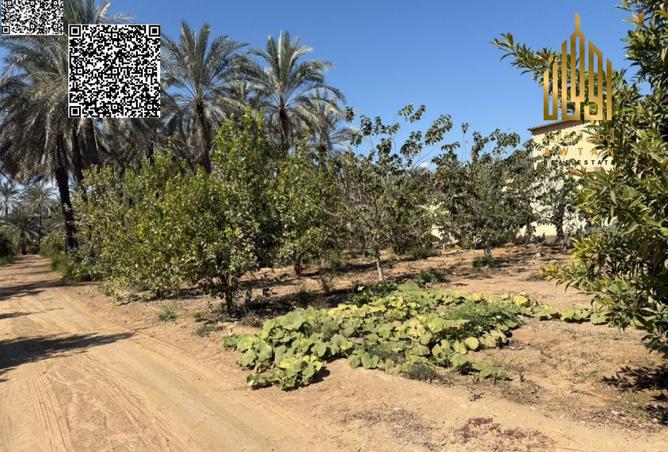 121545335 - صورة العقار 2