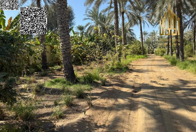 121545335 - الصورة الرئيسية للعقار