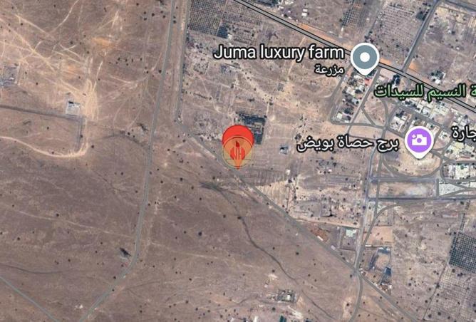 80249768 - صورة العقار 2